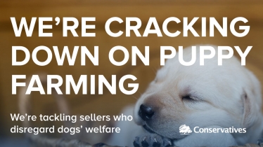 cracking down on puppy farming picture
